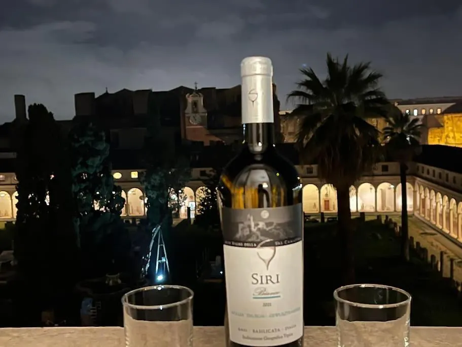 Penzion Camera X2 Con Magnifica Vista Sul Chiostro Di Michelangelo E Le Terme Di Diocleziano Řím